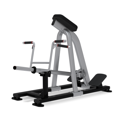 Nautilus Incline Lever Row